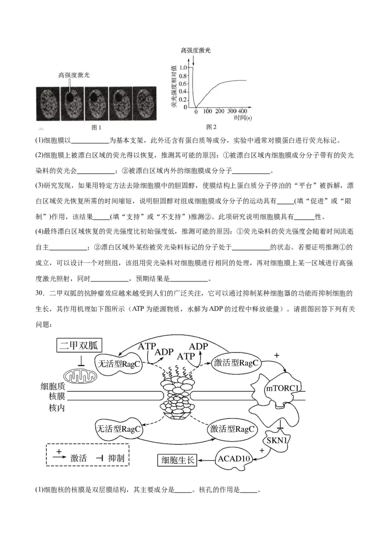 专题5细胞膜和细胞核（原卷版)_2024年新高考资料_3.2024专项复习_备战2024年高考生物一轮复习重难点专项突破_专题05细胞膜和细胞核-备战2024年高考生物一轮复习重难点专项突破