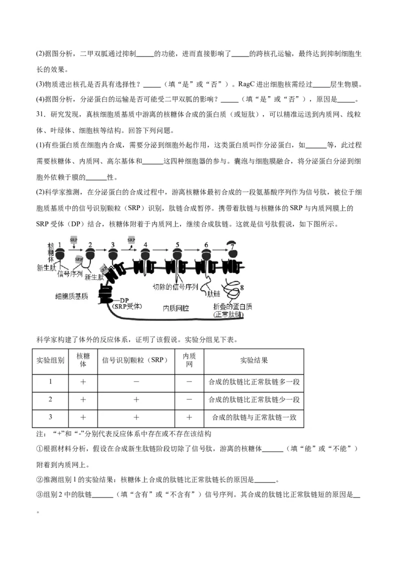专题5细胞膜和细胞核（原卷版)_2024年新高考资料_3.2024专项复习_备战2024年高考生物一轮复习重难点专项突破_专题05细胞膜和细胞核-备战2024年高考生物一轮复习重难点专项突破