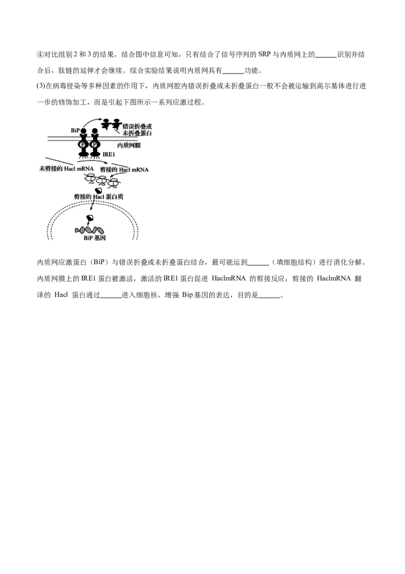 专题5细胞膜和细胞核（原卷版)_2024年新高考资料_3.2024专项复习_备战2024年高考生物一轮复习重难点专项突破_专题05细胞膜和细胞核-备战2024年高考生物一轮复习重难点专项突破