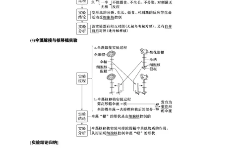 专题5细胞膜和细胞核（原卷版)_2024年新高考资料_3.2024专项复习_备战2024年高考生物一轮复习重难点专项突破_专题05细胞膜和细胞核-备战2024年高考生物一轮复习重难点专项突破