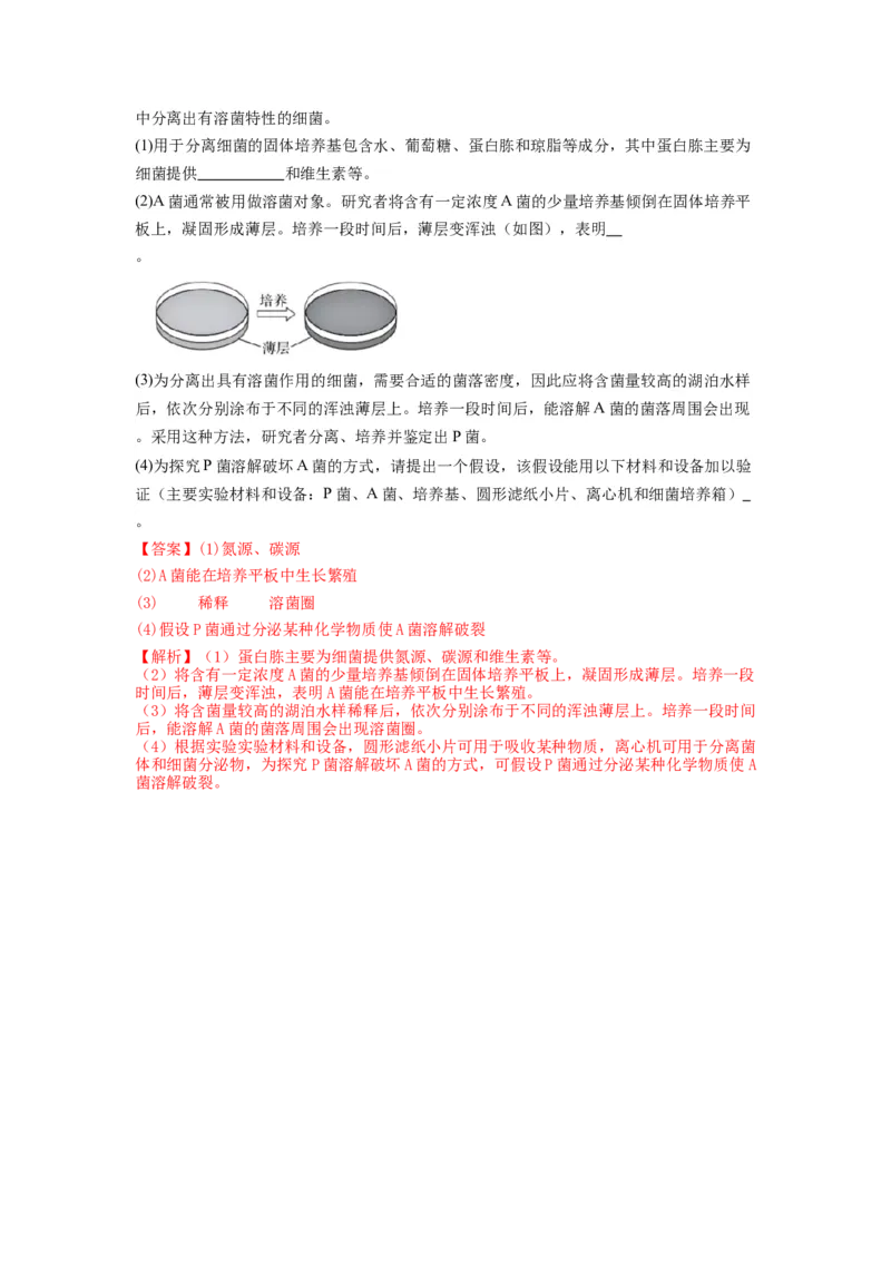 专题35微生物的培养技术及应用（串讲）（解析版）_2024年新高考资料_1.2024一轮复习_备战2024年高考生物一轮复习串讲精练（新高考专用）