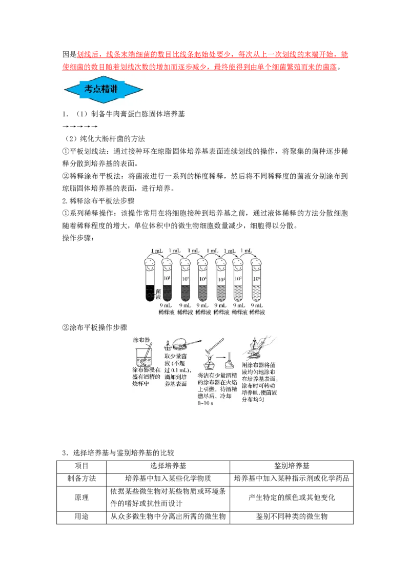 专题35微生物的培养技术及应用（串讲）（解析版）_2024年新高考资料_1.2024一轮复习_备战2024年高考生物一轮复习串讲精练（新高考专用）