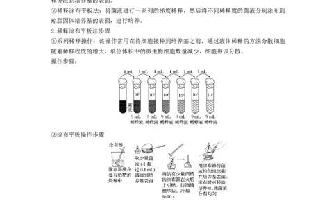 专题35微生物的培养技术及应用（串讲）（解析版）_2024年新高考资料_1.2024一轮复习_备战2024年高考生物一轮复习串讲精练（新高考专用）