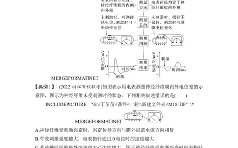 微专题11兴奋传导与传递的相关实验探究_2024年新高考资料_1.2024一轮复习_2024年高考生物一轮复习讲义（新人教版）_另附1套Word版题库_选择性必修1_第八单元稳态与调节