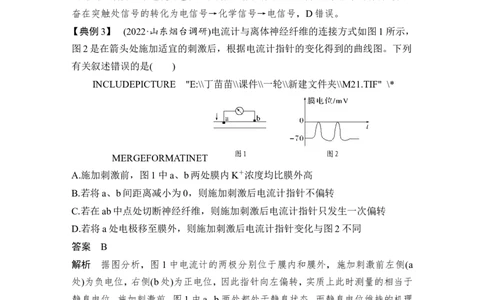 微专题11兴奋传导与传递的相关实验探究_2024年新高考资料_1.2024一轮复习_2024年高考生物一轮复习讲义（新人教版）_另附1套Word版题库_选择性必修1_第八单元稳态与调节