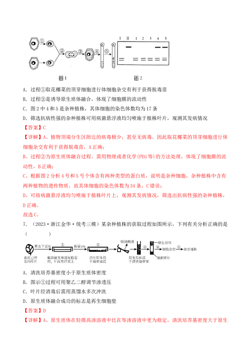 专题16植物细胞工程（解析版）_2024年新高考资料_3.2024专项复习_备战2024年高考生物一轮复习重难点突破讲解与训练（新教材）