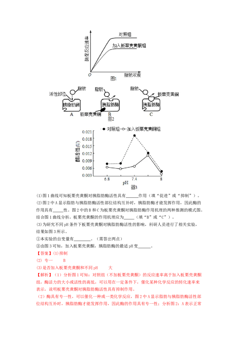 专题08酶和ATP（解析版）_2024年新高考资料_1.2024一轮复习_备战2024年高考生物一轮复习抢分特训（全国通用）_专题08+酶和ATP-备战2024年高考生物一轮复习抢分特训（全国通用）