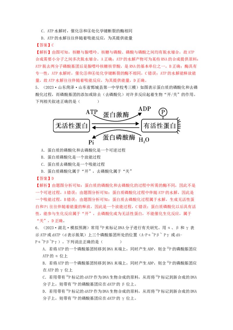 专题08酶和ATP（解析版）_2024年新高考资料_1.2024一轮复习_备战2024年高考生物一轮复习抢分特训（全国通用）_专题08+酶和ATP-备战2024年高考生物一轮复习抢分特训（全国通用）