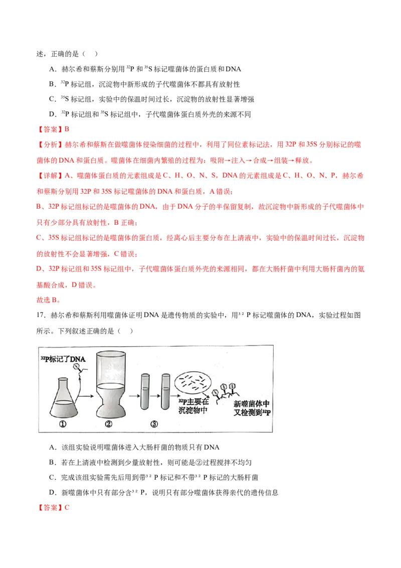 专题20DNA是主要的遗传物质（解析版)_2024年新高考资料_3.2024专项复习_备战2024年高考生物一轮复习重难点专项突破_专题20DNA是主要的遗传物质