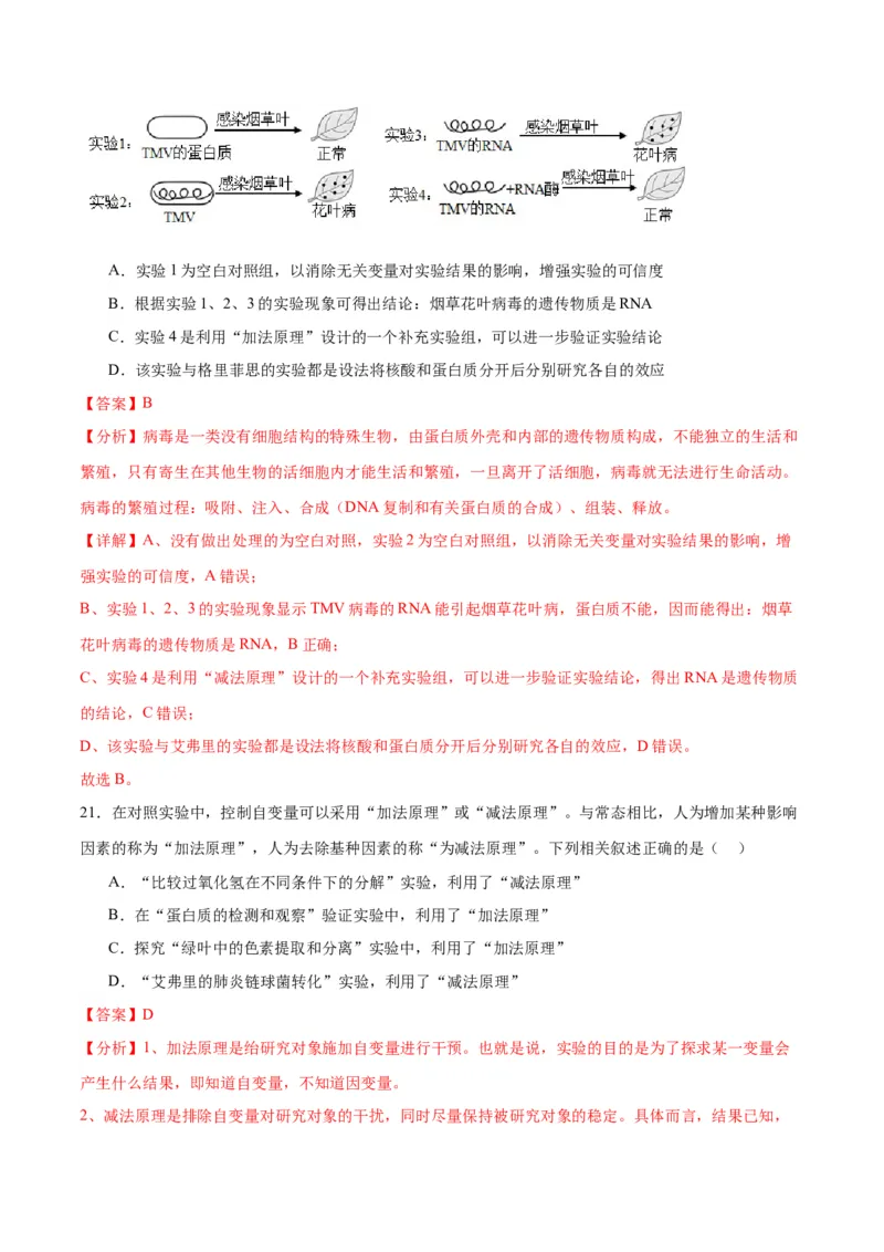 专题20DNA是主要的遗传物质（解析版)_2024年新高考资料_3.2024专项复习_备战2024年高考生物一轮复习重难点专项突破_专题20DNA是主要的遗传物质