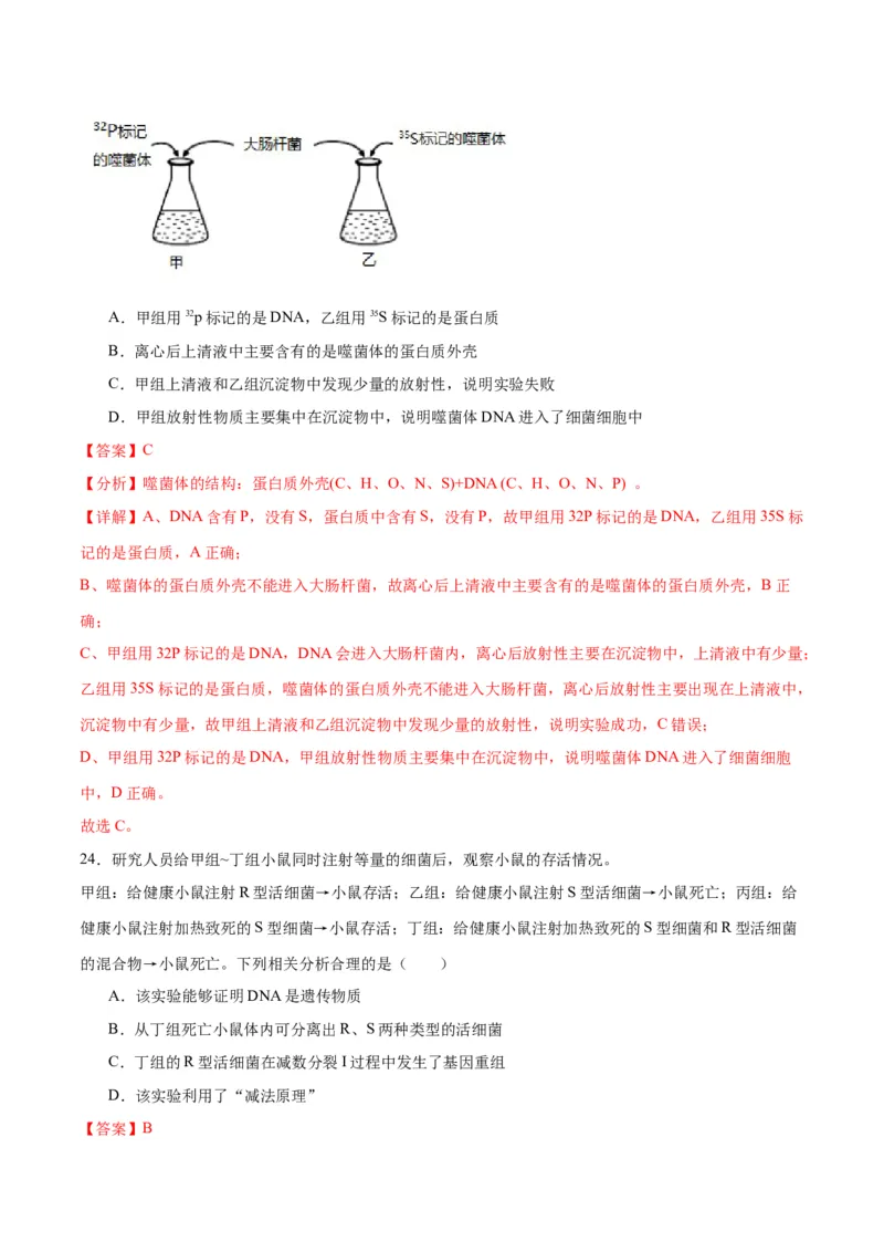 专题20DNA是主要的遗传物质（解析版)_2024年新高考资料_3.2024专项复习_备战2024年高考生物一轮复习重难点专项突破_专题20DNA是主要的遗传物质