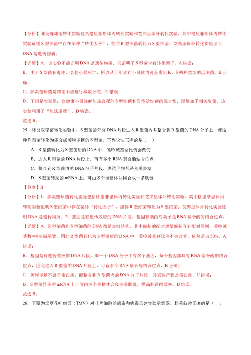 专题20DNA是主要的遗传物质（解析版)_2024年新高考资料_3.2024专项复习_备战2024年高考生物一轮复习重难点专项突破_专题20DNA是主要的遗传物质