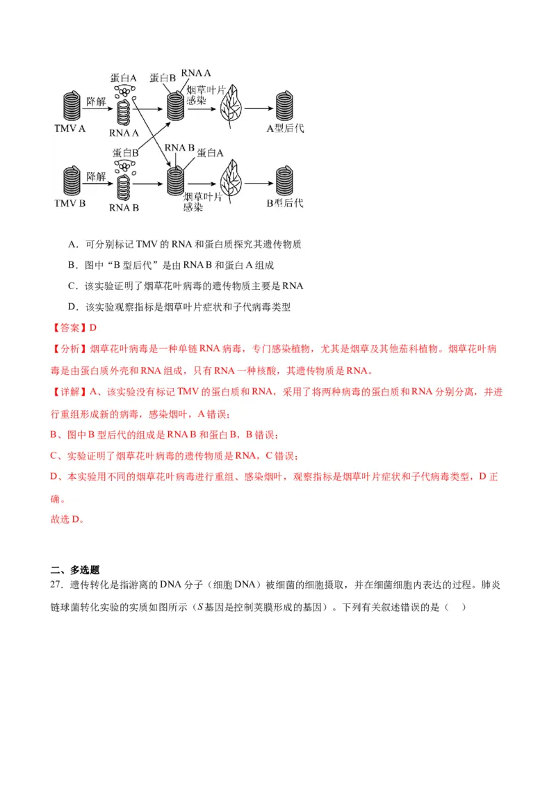 专题20DNA是主要的遗传物质（解析版)_2024年新高考资料_3.2024专项复习_备战2024年高考生物一轮复习重难点专项突破_专题20DNA是主要的遗传物质