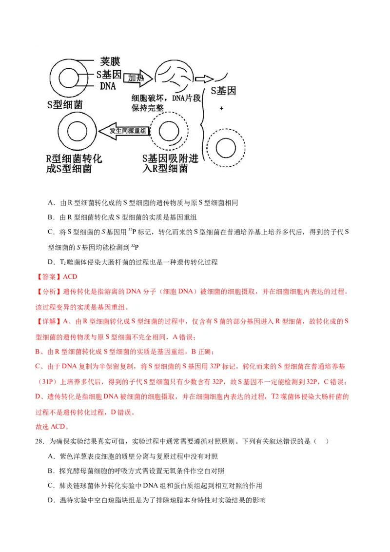 专题20DNA是主要的遗传物质（解析版)_2024年新高考资料_3.2024专项复习_备战2024年高考生物一轮复习重难点专项突破_专题20DNA是主要的遗传物质