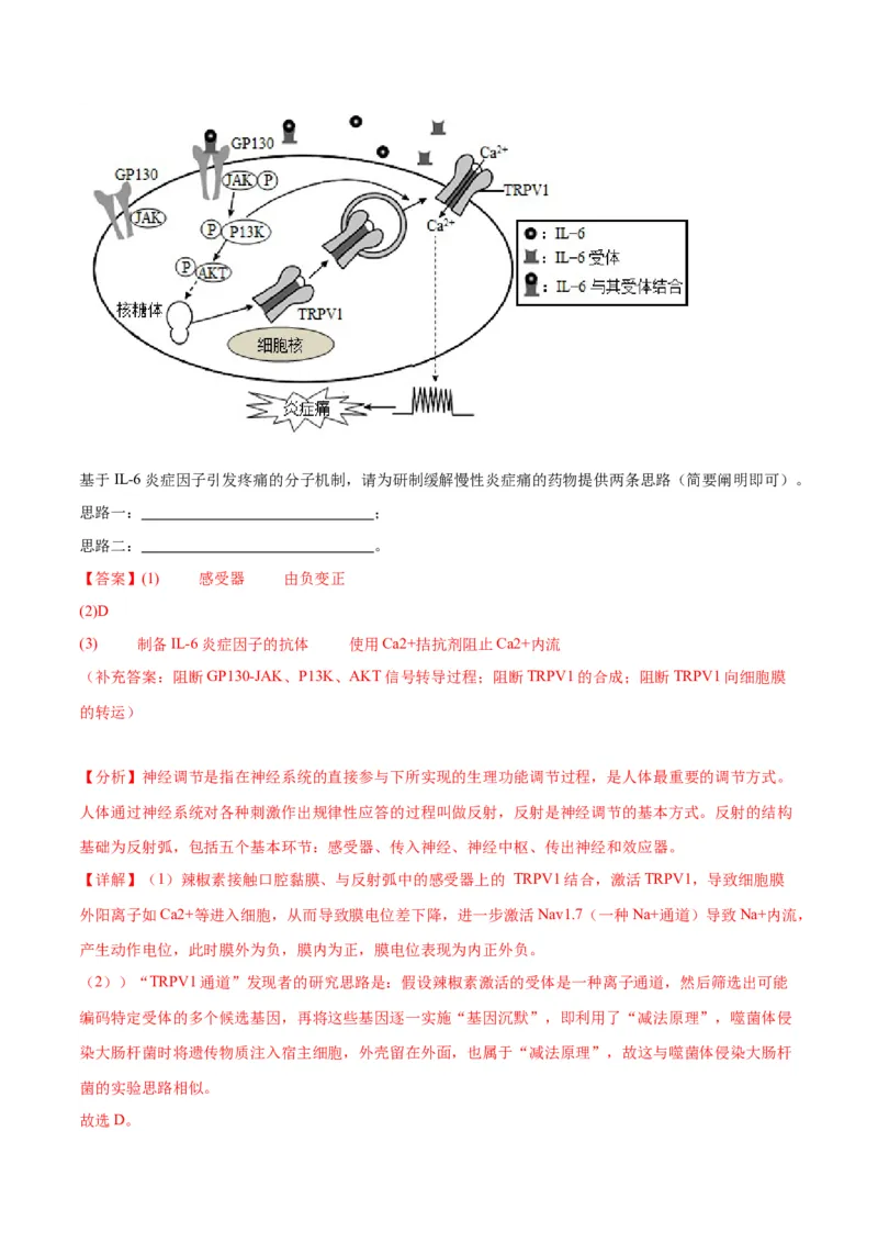 专题20DNA是主要的遗传物质（解析版)_2024年新高考资料_3.2024专项复习_备战2024年高考生物一轮复习重难点专项突破_专题20DNA是主要的遗传物质