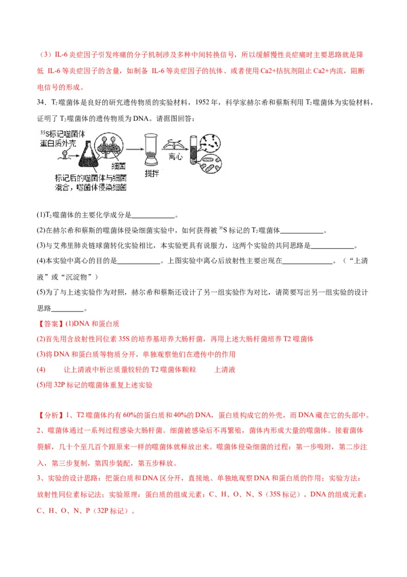 专题20DNA是主要的遗传物质（解析版)_2024年新高考资料_3.2024专项复习_备战2024年高考生物一轮复习重难点专项突破_专题20DNA是主要的遗传物质