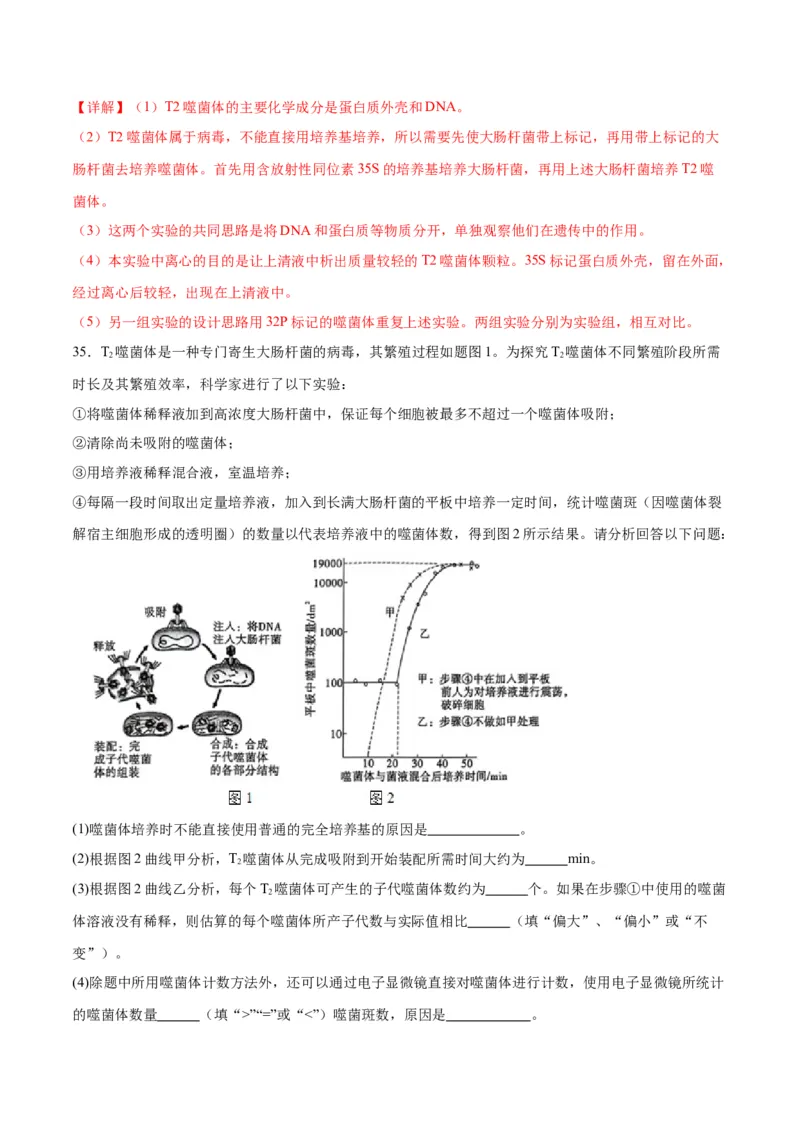 专题20DNA是主要的遗传物质（解析版)_2024年新高考资料_3.2024专项复习_备战2024年高考生物一轮复习重难点专项突破_专题20DNA是主要的遗传物质