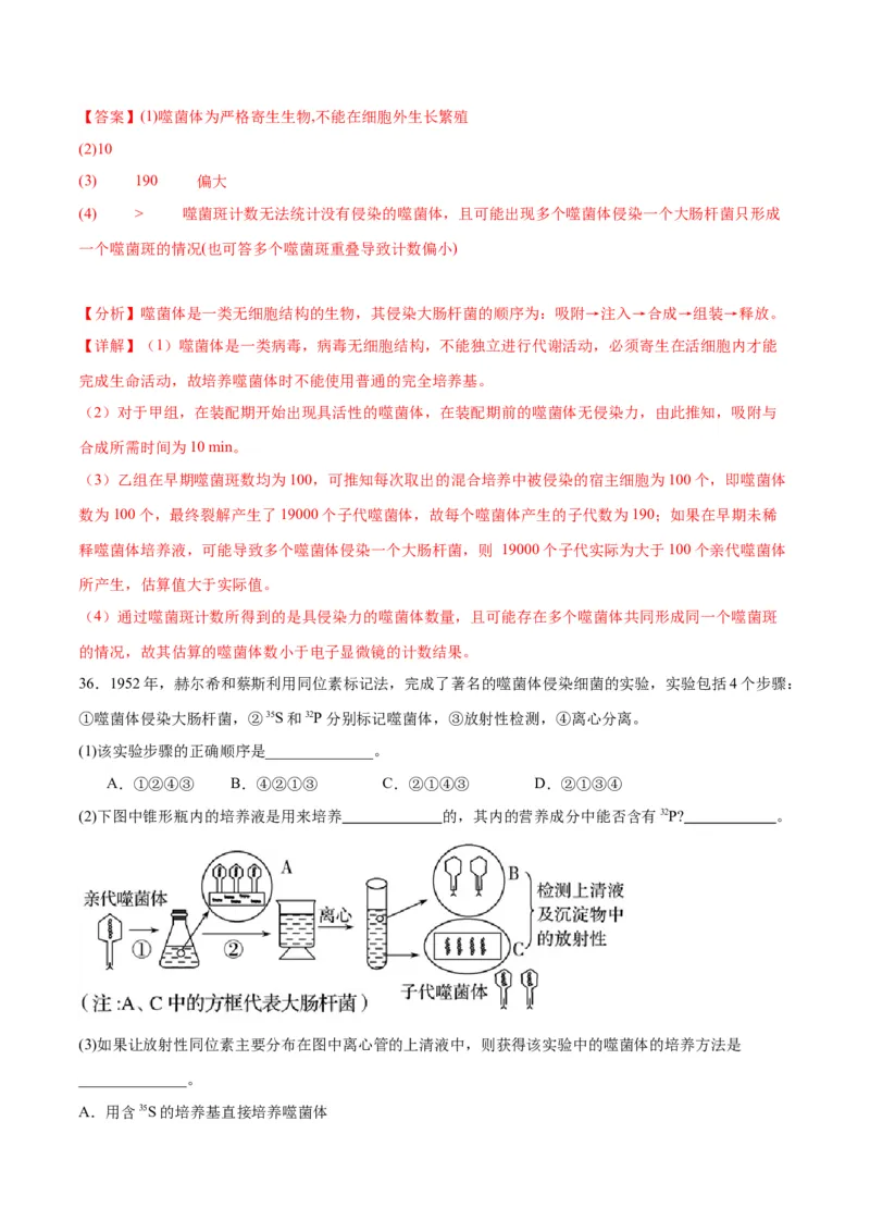 专题20DNA是主要的遗传物质（解析版)_2024年新高考资料_3.2024专项复习_备战2024年高考生物一轮复习重难点专项突破_专题20DNA是主要的遗传物质