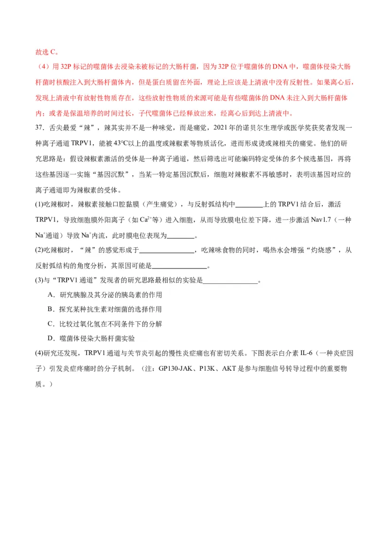 专题20DNA是主要的遗传物质（解析版)_2024年新高考资料_3.2024专项复习_备战2024年高考生物一轮复习重难点专项突破_专题20DNA是主要的遗传物质