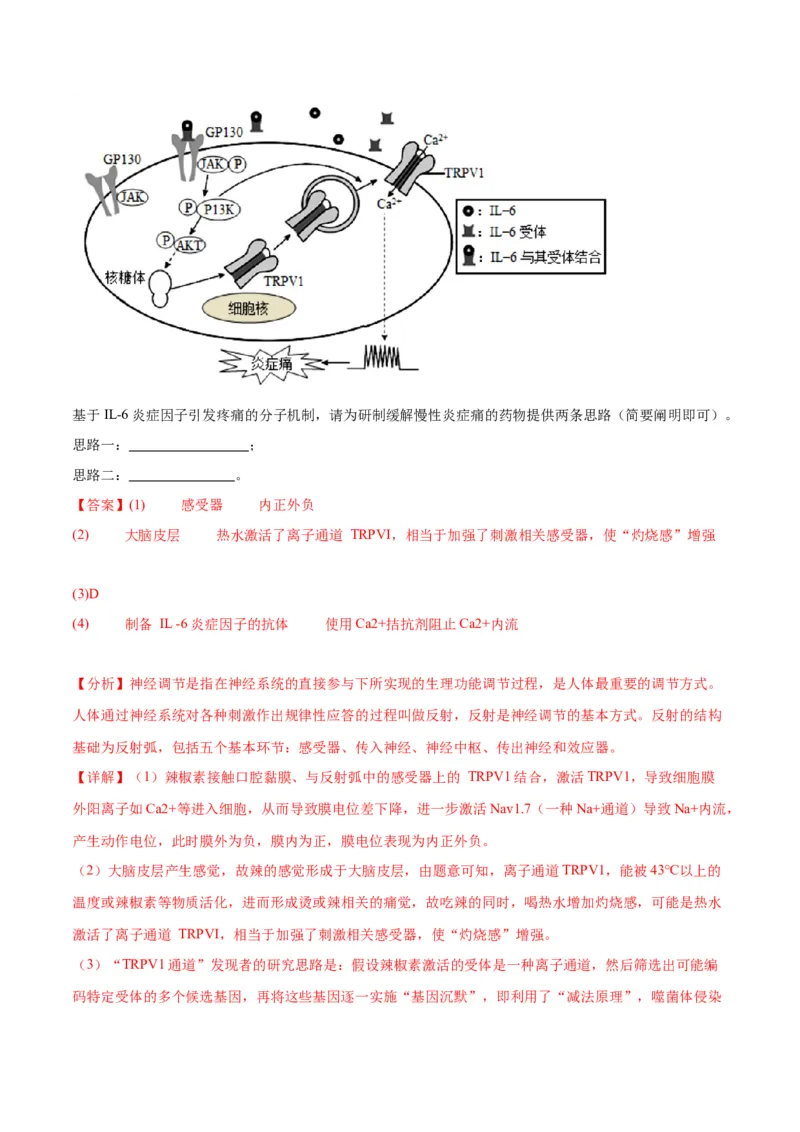 专题20DNA是主要的遗传物质（解析版)_2024年新高考资料_3.2024专项复习_备战2024年高考生物一轮复习重难点专项突破_专题20DNA是主要的遗传物质