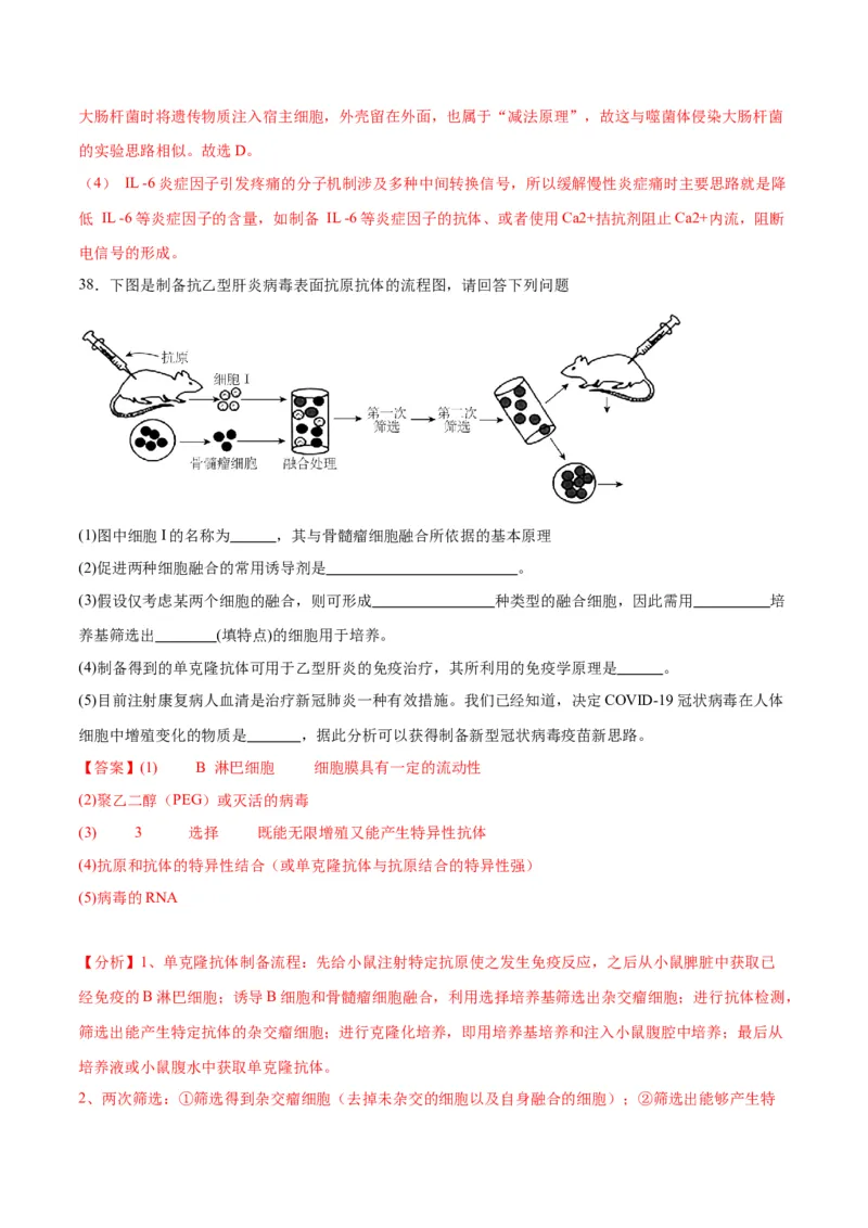 专题20DNA是主要的遗传物质（解析版)_2024年新高考资料_3.2024专项复习_备战2024年高考生物一轮复习重难点专项突破_专题20DNA是主要的遗传物质