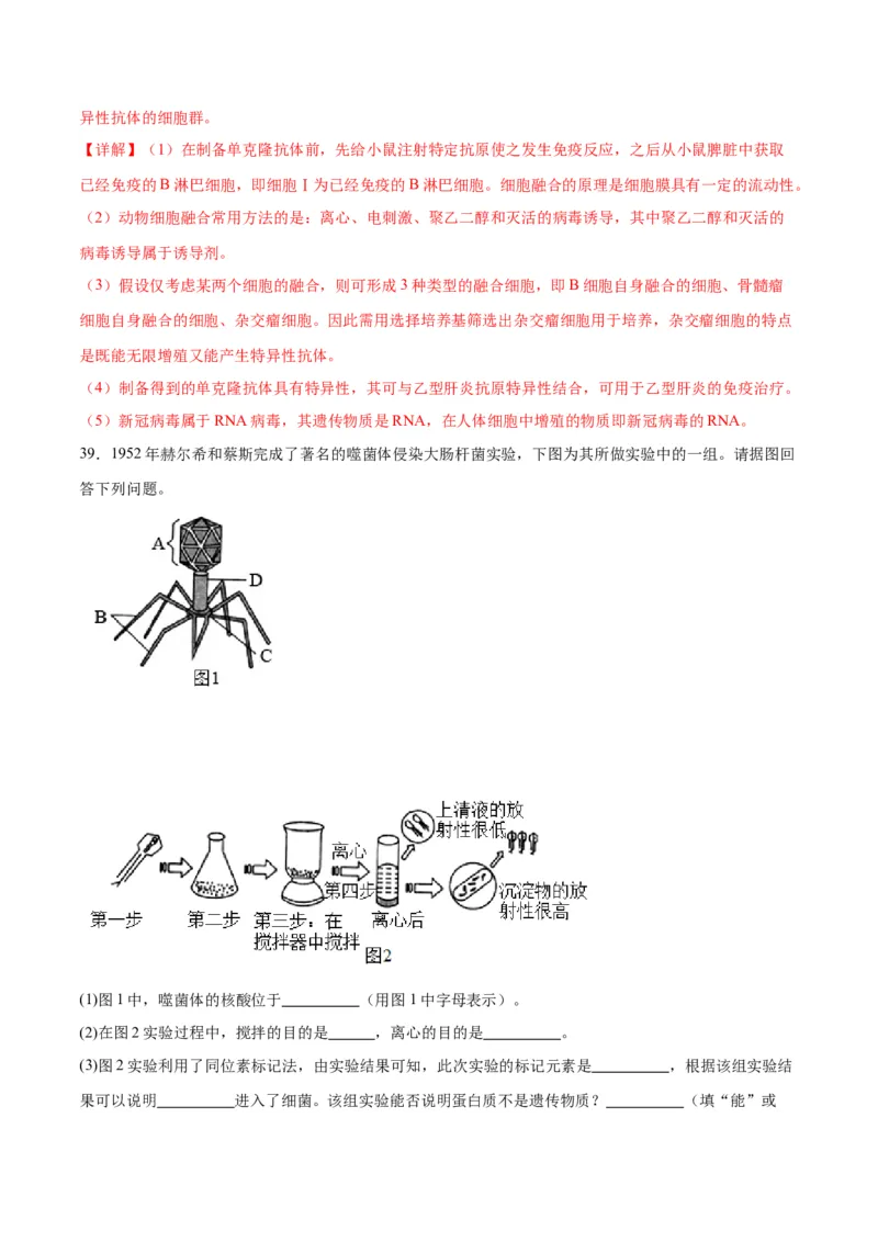 专题20DNA是主要的遗传物质（解析版)_2024年新高考资料_3.2024专项复习_备战2024年高考生物一轮复习重难点专项突破_专题20DNA是主要的遗传物质