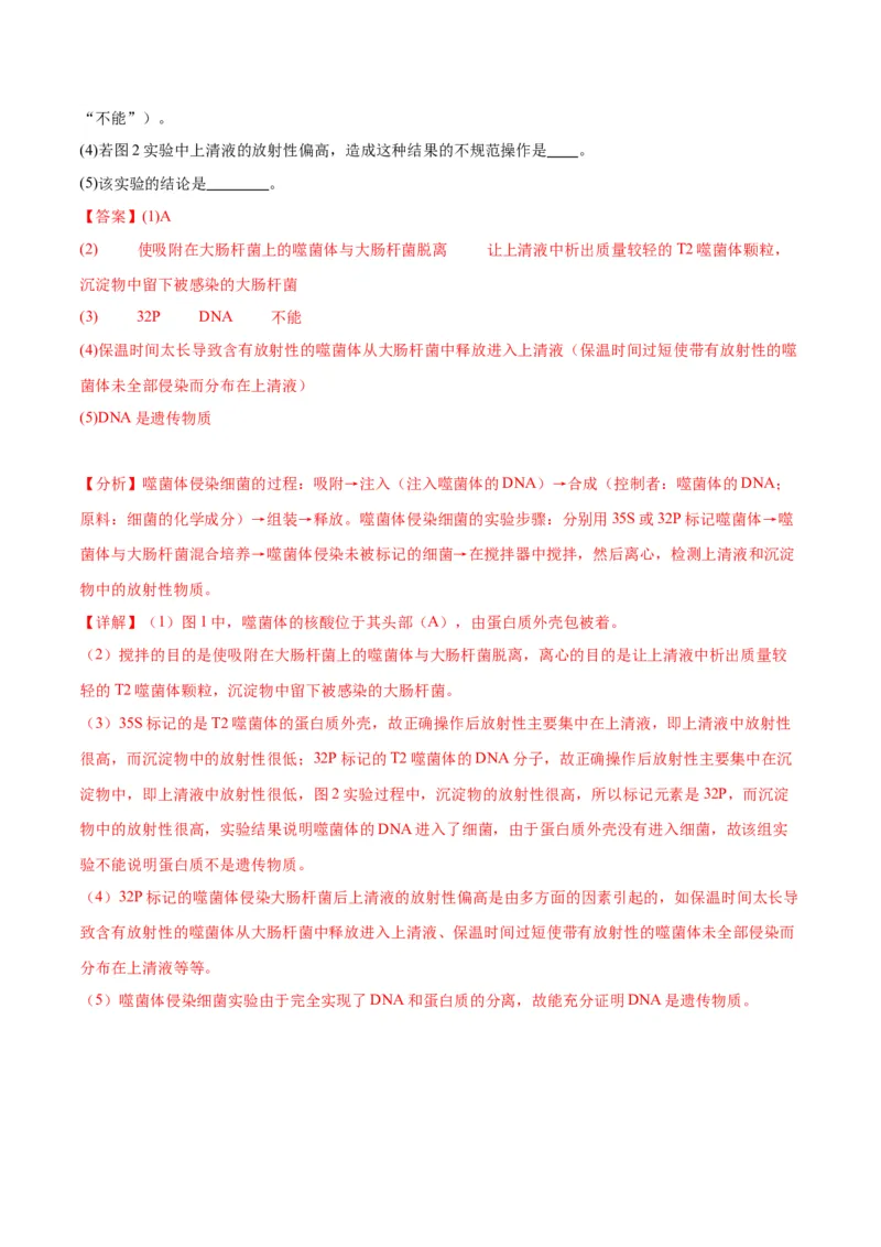 专题20DNA是主要的遗传物质（解析版)_2024年新高考资料_3.2024专项复习_备战2024年高考生物一轮复习重难点专项突破_专题20DNA是主要的遗传物质