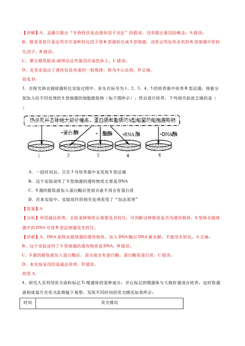 专题20DNA是主要的遗传物质（解析版)_2024年新高考资料_3.2024专项复习_备战2024年高考生物一轮复习重难点专项突破_专题20DNA是主要的遗传物质
