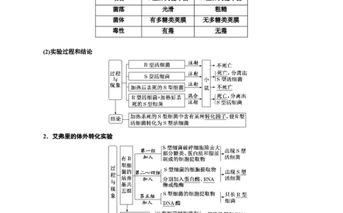 专题20DNA是主要的遗传物质（解析版)_2024年新高考资料_3.2024专项复习_备战2024年高考生物一轮复习重难点专项突破_专题20DNA是主要的遗传物质