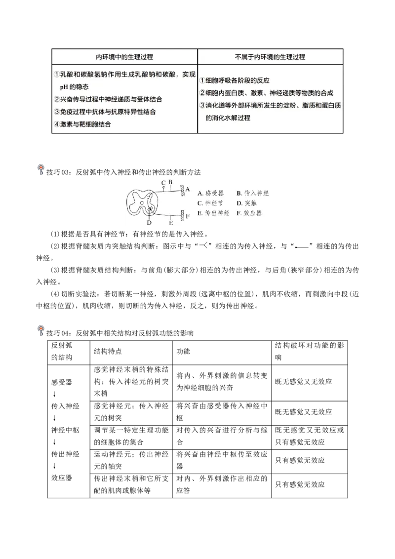 专题05动物的调节（原卷版）_2024年新高考资料_3.2024专项复习_2024年高考生物热点&middot;重点&middot;难点专练（上海专用）