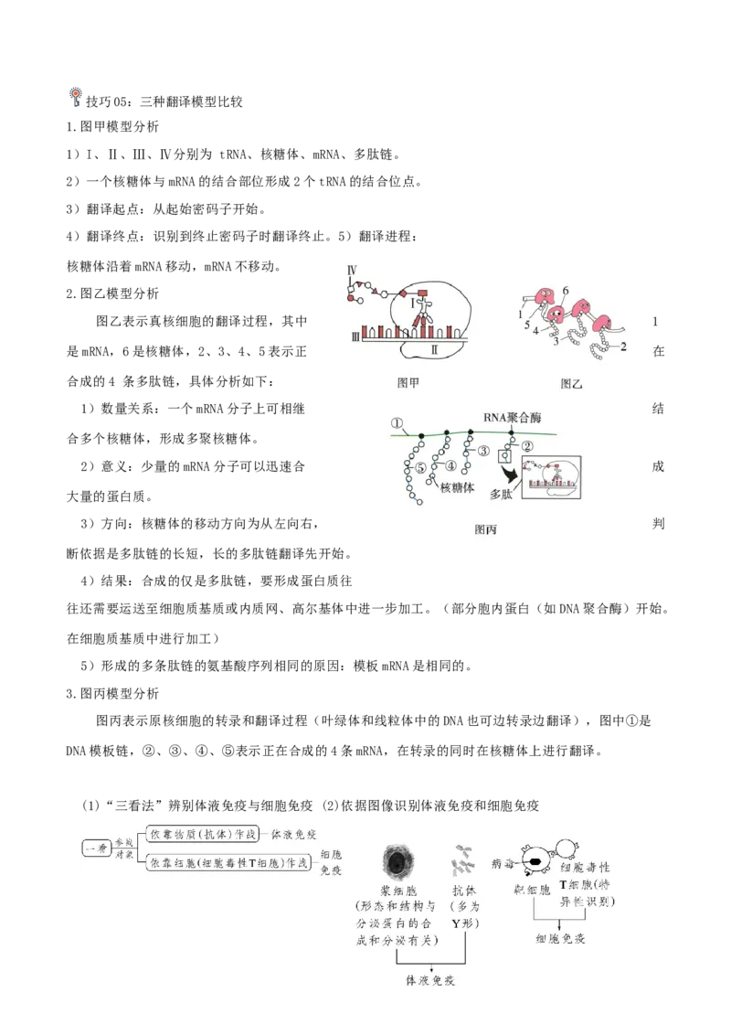 专题05动物的调节（原卷版）_2024年新高考资料_3.2024专项复习_2024年高考生物热点&middot;重点&middot;难点专练（上海专用）