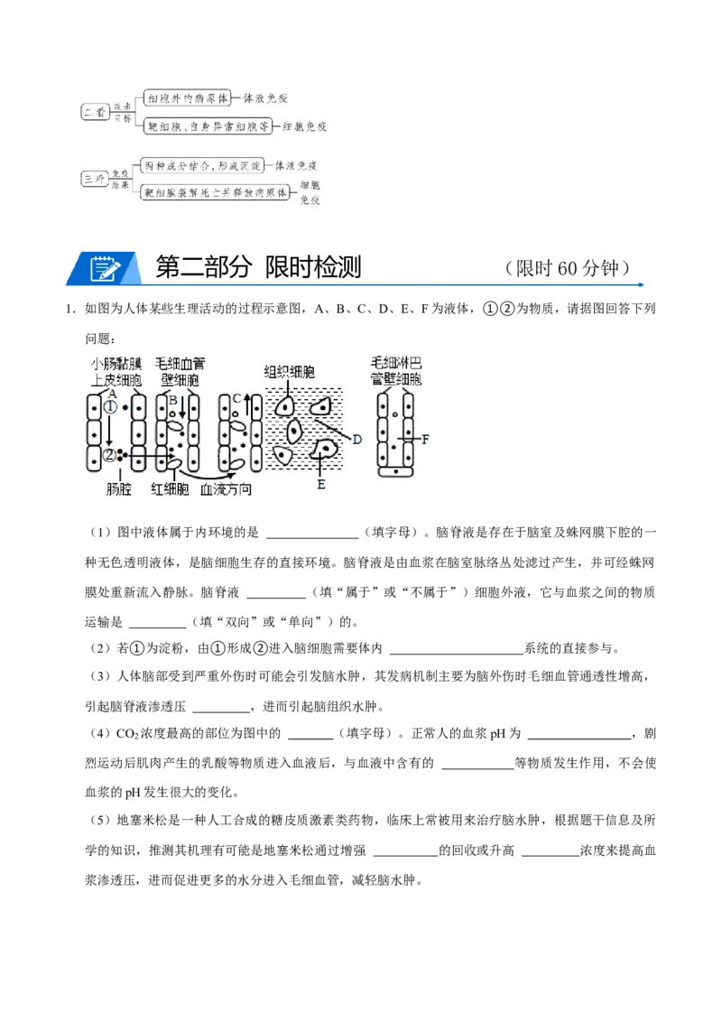 专题05动物的调节（原卷版）_2024年新高考资料_3.2024专项复习_2024年高考生物热点&middot;重点&middot;难点专练（上海专用）