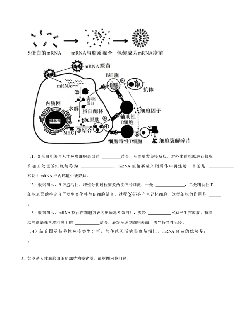 专题05动物的调节（原卷版）_2024年新高考资料_3.2024专项复习_2024年高考生物热点&middot;重点&middot;难点专练（上海专用）