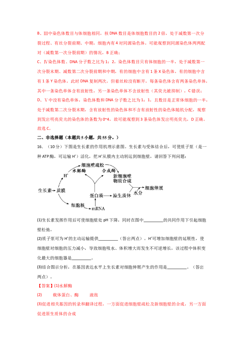 单元检测卷06遗传的物质基础（解析版）_2024年新高考资料_1.2024一轮复习_2024年高考生物一轮复习考点通关卷（新高考通用）