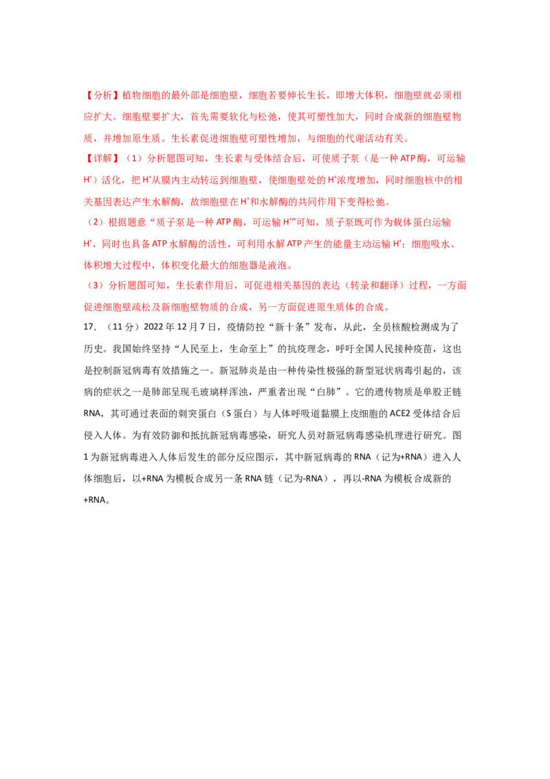 单元检测卷06遗传的物质基础（解析版）_2024年新高考资料_1.2024一轮复习_2024年高考生物一轮复习考点通关卷（新高考通用）