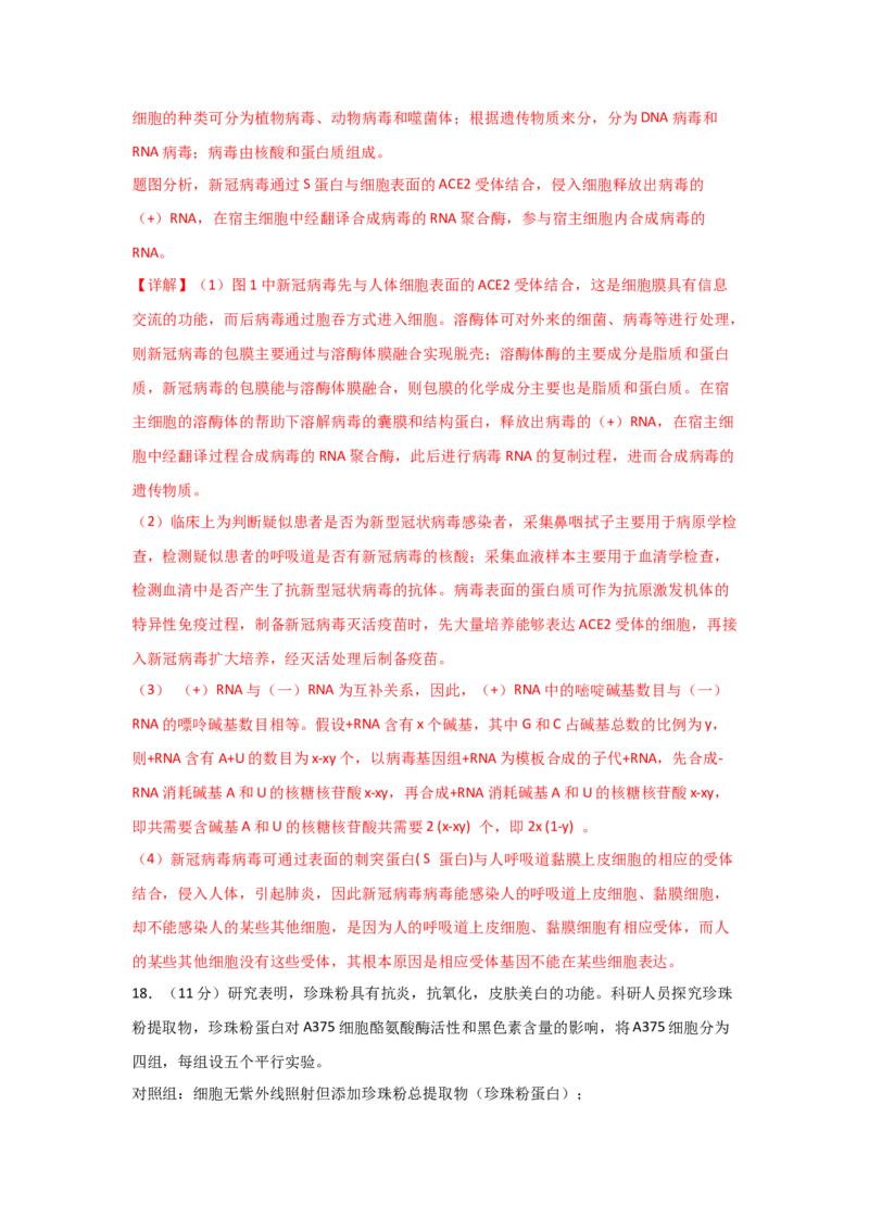 单元检测卷06遗传的物质基础（解析版）_2024年新高考资料_1.2024一轮复习_2024年高考生物一轮复习考点通关卷（新高考通用）