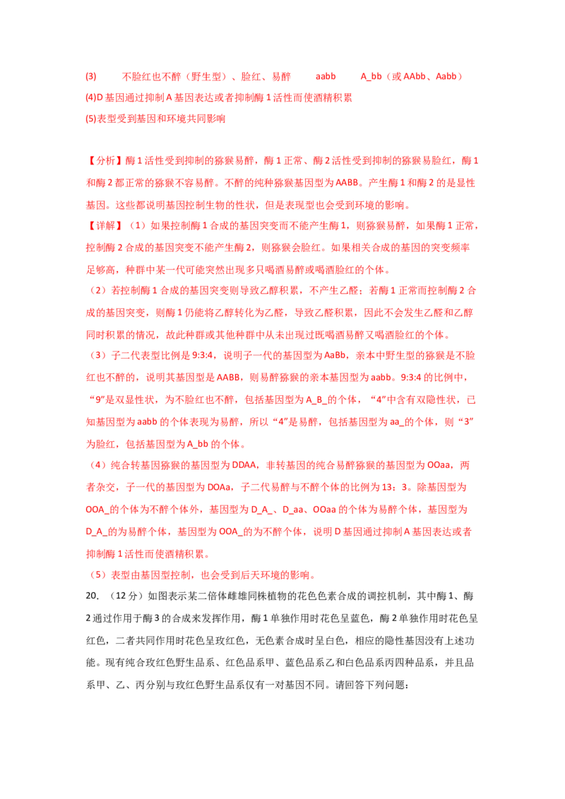 单元检测卷06遗传的物质基础（解析版）_2024年新高考资料_1.2024一轮复习_2024年高考生物一轮复习考点通关卷（新高考通用）