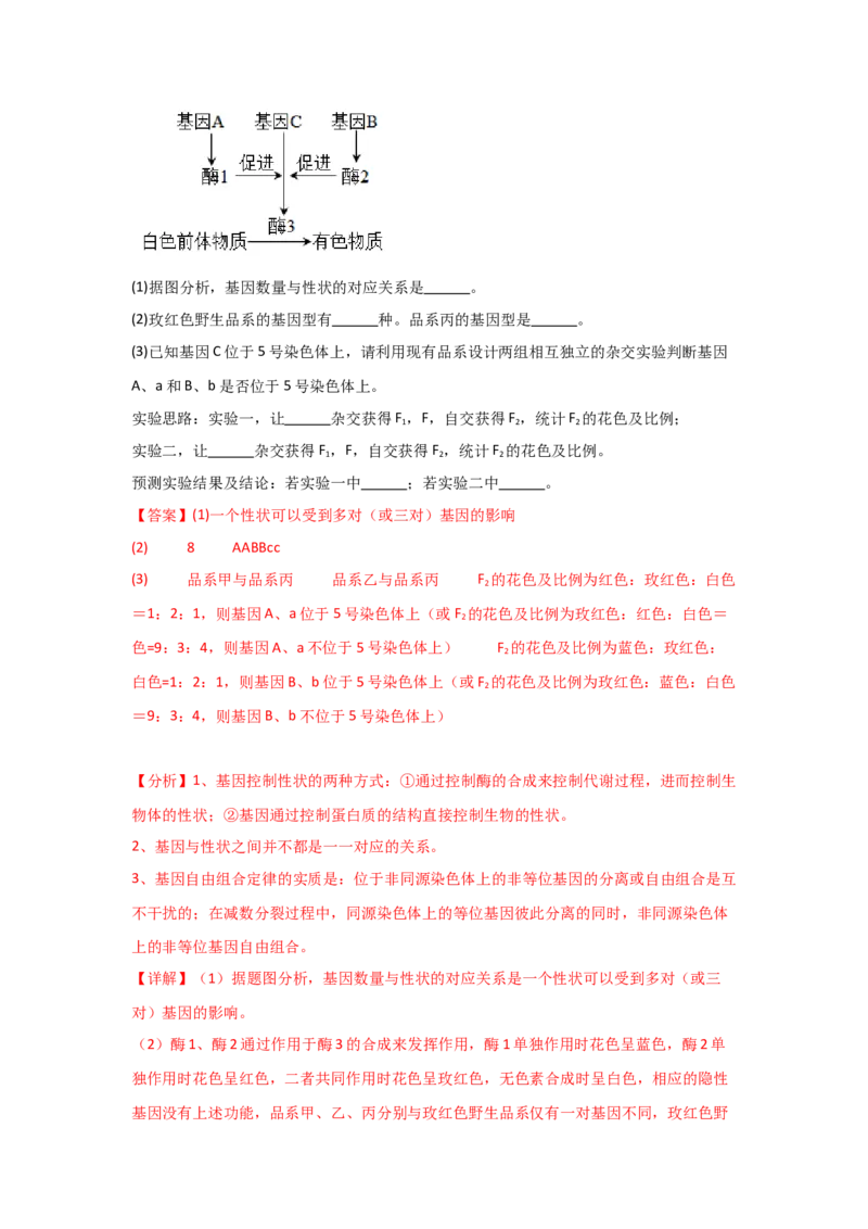 单元检测卷06遗传的物质基础（解析版）_2024年新高考资料_1.2024一轮复习_2024年高考生物一轮复习考点通关卷（新高考通用）