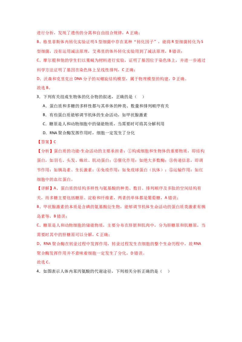 单元检测卷06遗传的物质基础（解析版）_2024年新高考资料_1.2024一轮复习_2024年高考生物一轮复习考点通关卷（新高考通用）
