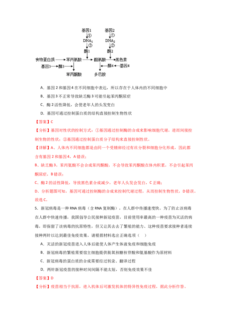 单元检测卷06遗传的物质基础（解析版）_2024年新高考资料_1.2024一轮复习_2024年高考生物一轮复习考点通关卷（新高考通用）