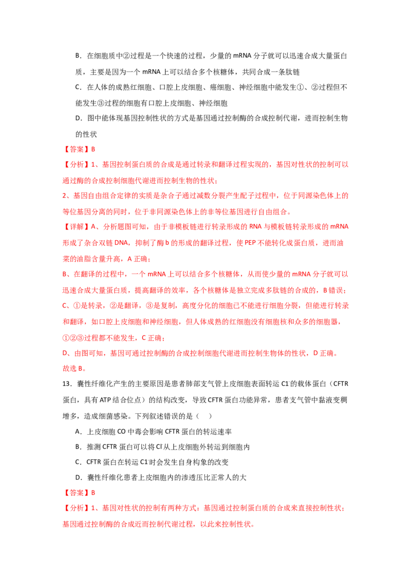 单元检测卷06遗传的物质基础（解析版）_2024年新高考资料_1.2024一轮复习_2024年高考生物一轮复习考点通关卷（新高考通用）