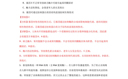 单元检测卷06遗传的物质基础（解析版）_2024年新高考资料_1.2024一轮复习_2024年高考生物一轮复习考点通关卷（新高考通用）