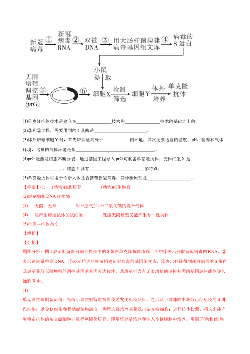 专题14生物技术与工程-2022年高考真题和模拟题生物分专题训练（教师版含解析）_2024年新高考资料_1.2024一轮复习_赠2022年高考生物真题与模拟题分类