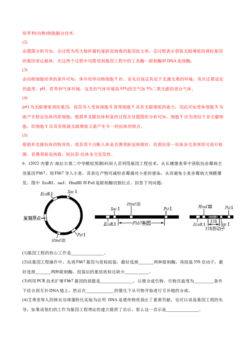 专题14生物技术与工程-2022年高考真题和模拟题生物分专题训练（教师版含解析）_2024年新高考资料_1.2024一轮复习_赠2022年高考生物真题与模拟题分类