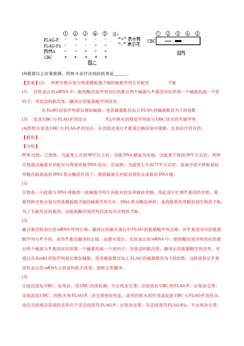 专题14生物技术与工程-2022年高考真题和模拟题生物分专题训练（教师版含解析）_2024年新高考资料_1.2024一轮复习_赠2022年高考生物真题与模拟题分类