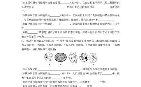 专题01走近细胞（精练）（原卷版）_2024年新高考资料_1.2024一轮复习_备战2024年高考生物一轮复习串讲精练（新高考专用）