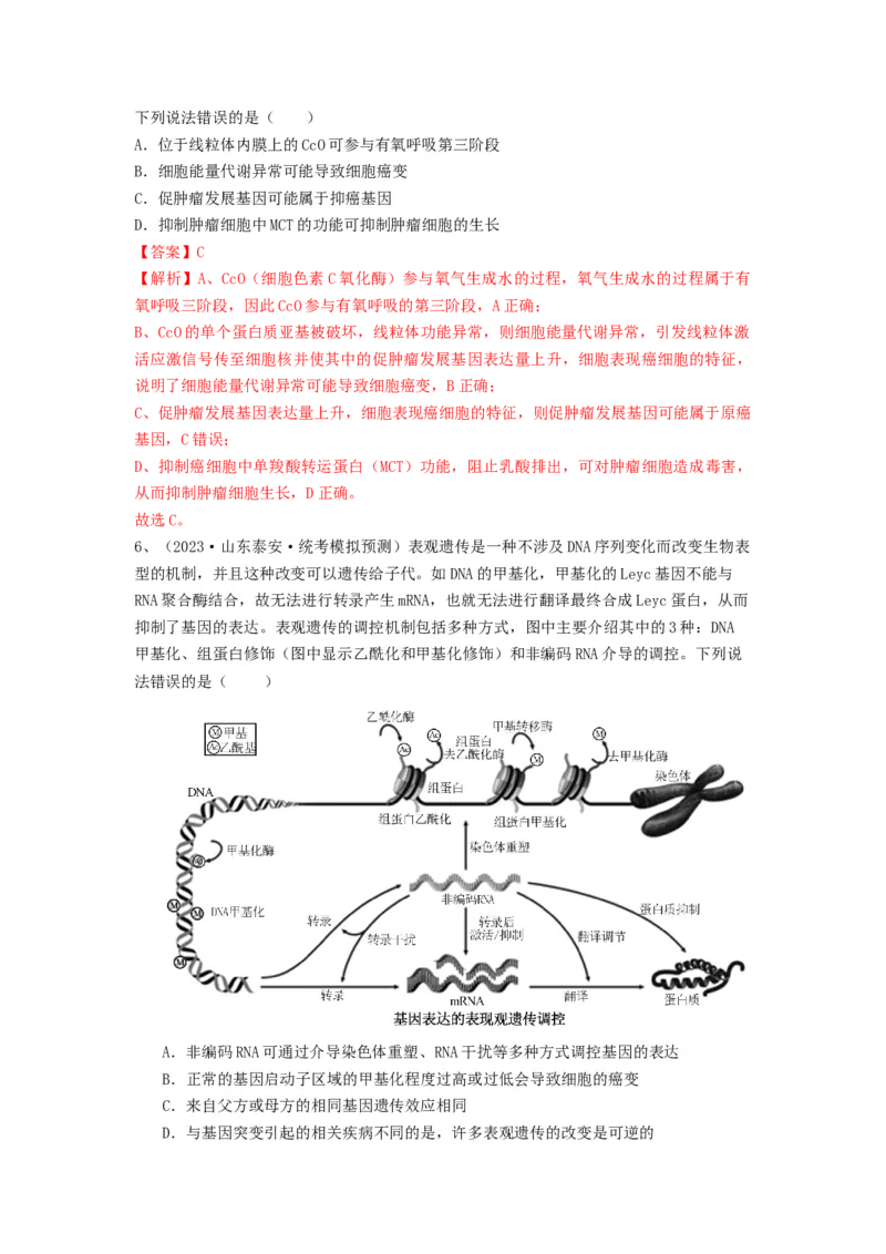 专题20基因突变和基因重组（精练）（解析版）_2024年新高考资料_1.2024一轮复习_备战2024年高考生物一轮复习串讲精练（新高考专用）