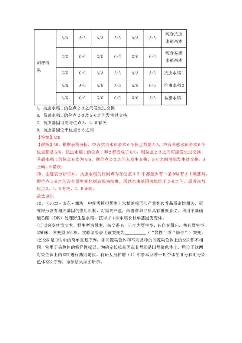 专题20基因突变和基因重组（精练）（解析版）_2024年新高考资料_1.2024一轮复习_备战2024年高考生物一轮复习串讲精练（新高考专用）