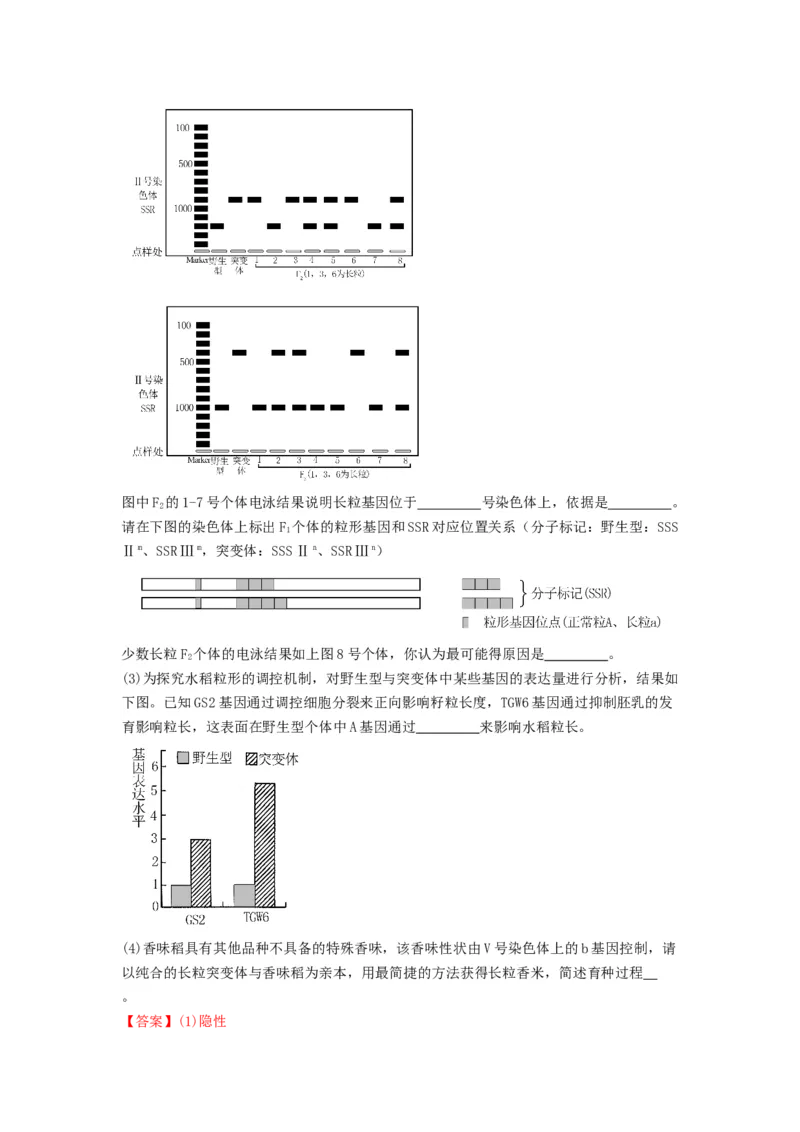 专题20基因突变和基因重组（精练）（解析版）_2024年新高考资料_1.2024一轮复习_备战2024年高考生物一轮复习串讲精练（新高考专用）