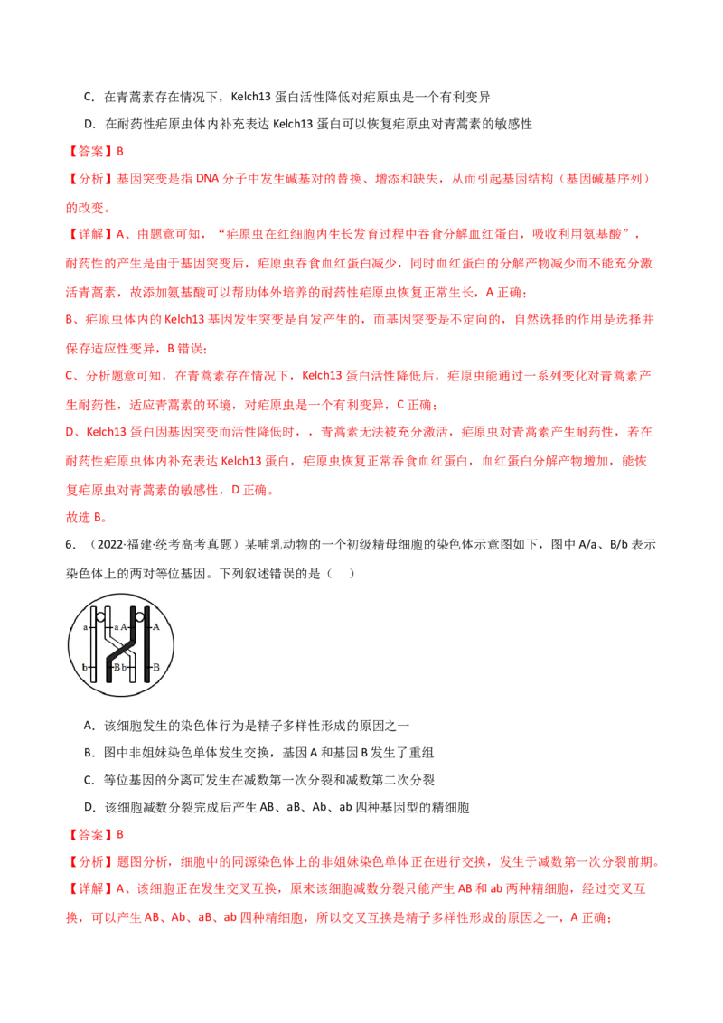 宝典11生物的变异（解析版）_2024年新高考资料_1.2024一轮复习_2024年高考生物一轮复习知识清单